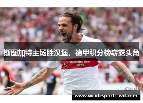 斯图加特主场胜汉堡，德甲积分榜崭露头角